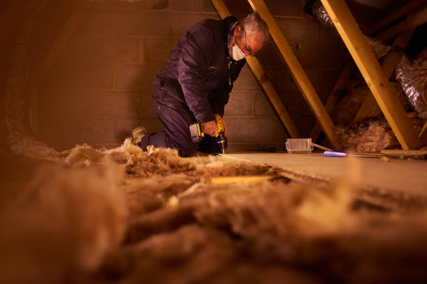 Eco-Friendly or Green Insulation Solutions in Brookhaven, GA